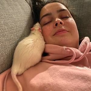 Meet your Posher, Katie